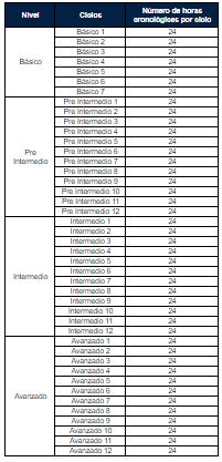 estructura chino 1.png