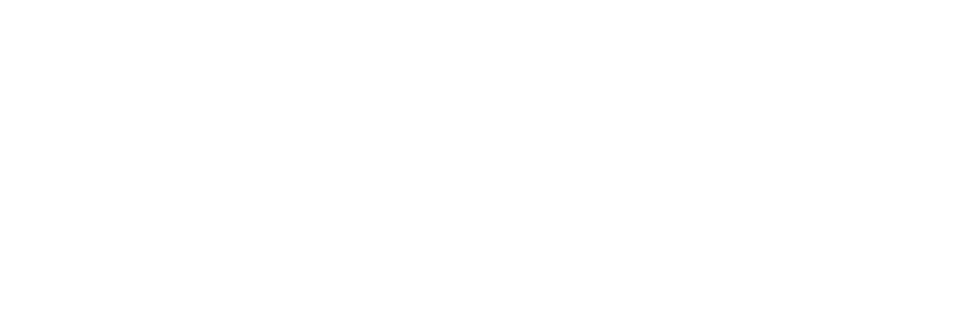 Universidad del Pacifico